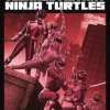 Best deal 👏 Boom! Studios MMPR TMNT II #1 of 5 Comic Book [Bon Bernardo MMPR Variant G] (Pre-Order ships January) 💯 -Power Rangers shop oct220275